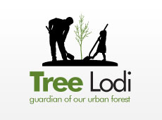 Tree Lodi Logo